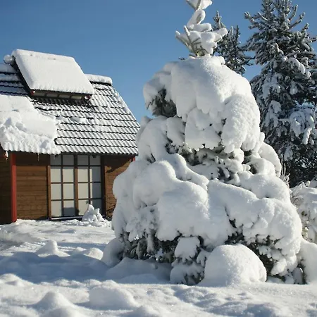 Guest house Flitzteufel 4*